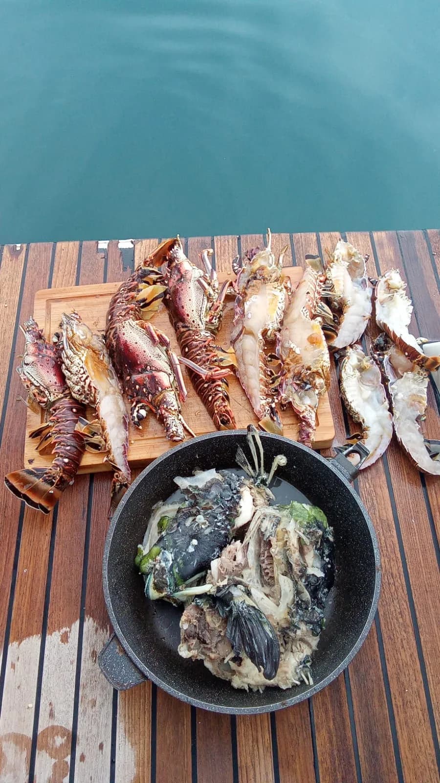 Langostas recién pescadas